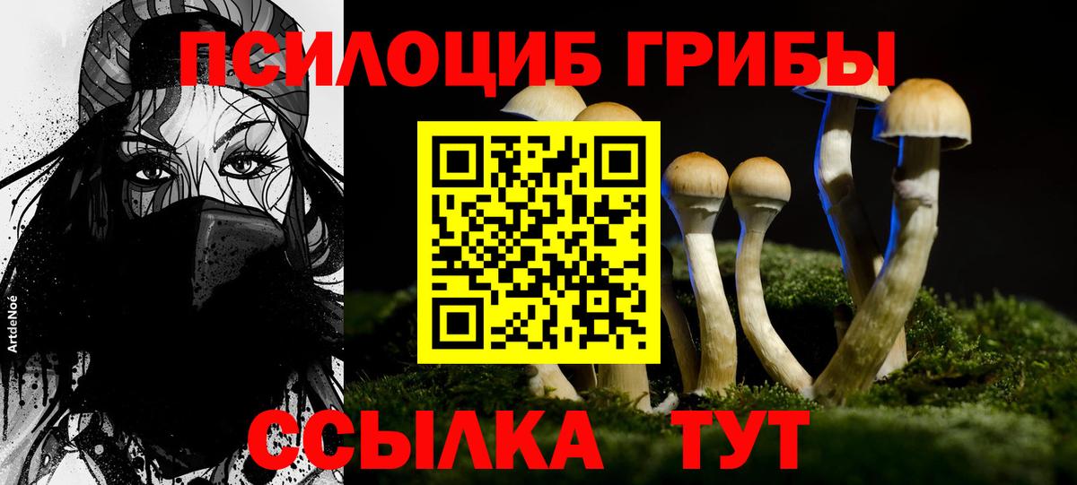 Галлюциногенные грибы ЛСД Похвистнево